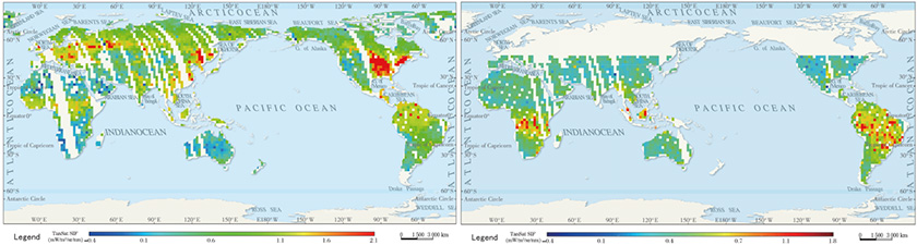 Global chlorophyll flourescence map