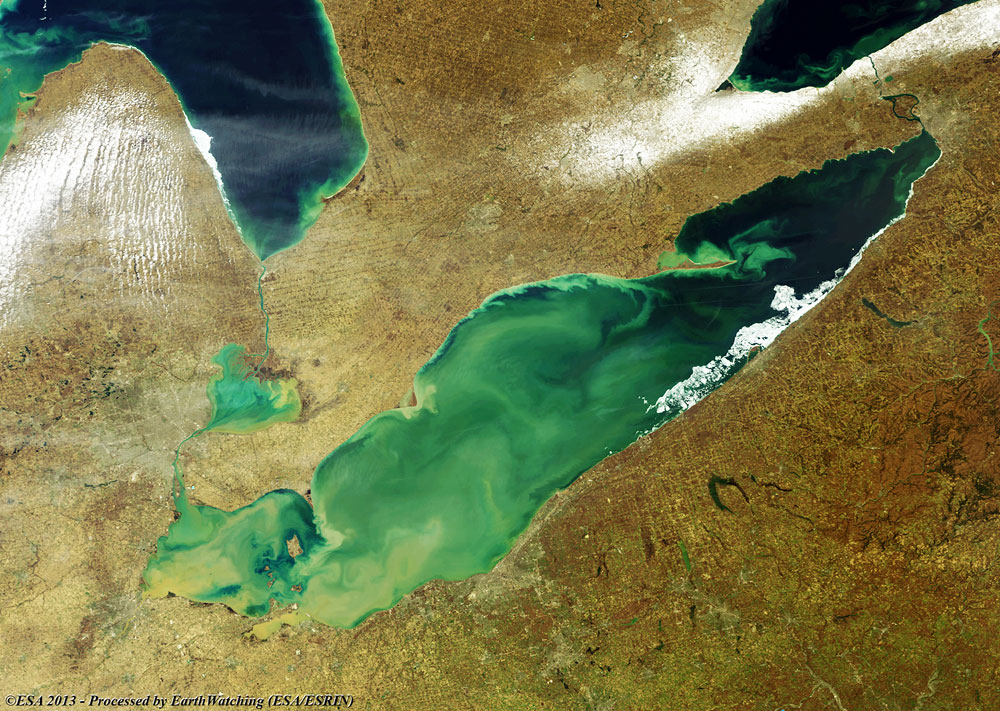 Algal Blooms In Lake Erie North America Floods Natural Disasters Earth Watching