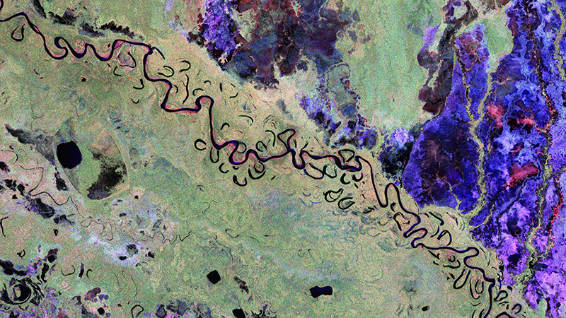 Bolivian forest and landscape from Biomass