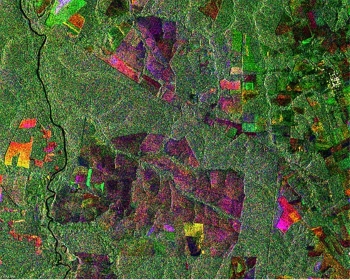 Envisat tracks deforestation in Brazil
