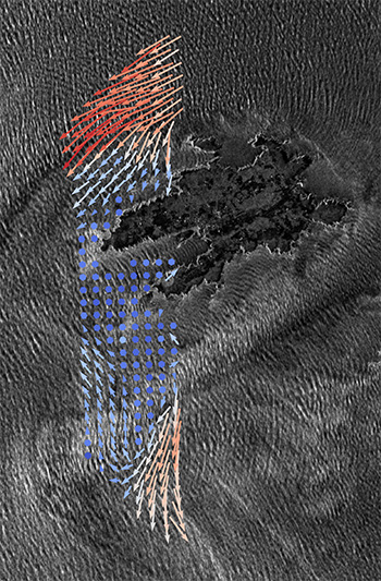 OSCAR total surface current vectors overlain on a NovaSAR-1 S-band image of Ushant and the surrounding waters during a period of ebb-tidal flow. Credit: NovaSAR-1 image courtesy of SSTL and Airbus
