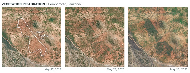 PlanetScope images vegetation restoration in Tanzania