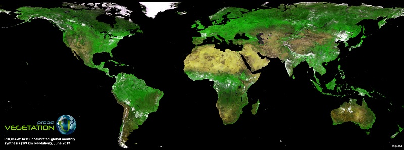 PROBA-V Vegetation