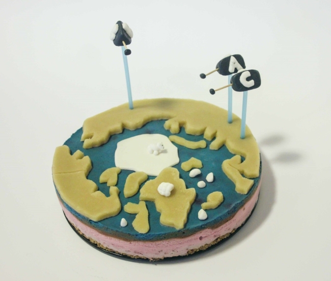A cake baked by DTU Space