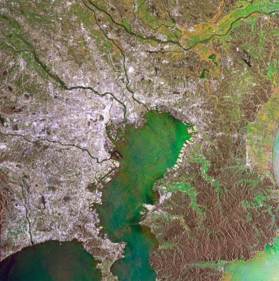 ASAR multi-temporal image over Tokyo