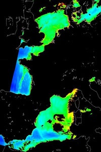 OceanSat-2 shows chlorophyll content (level 2C data geo-corrected)
