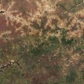 Edge of the dry desert in west Africa 