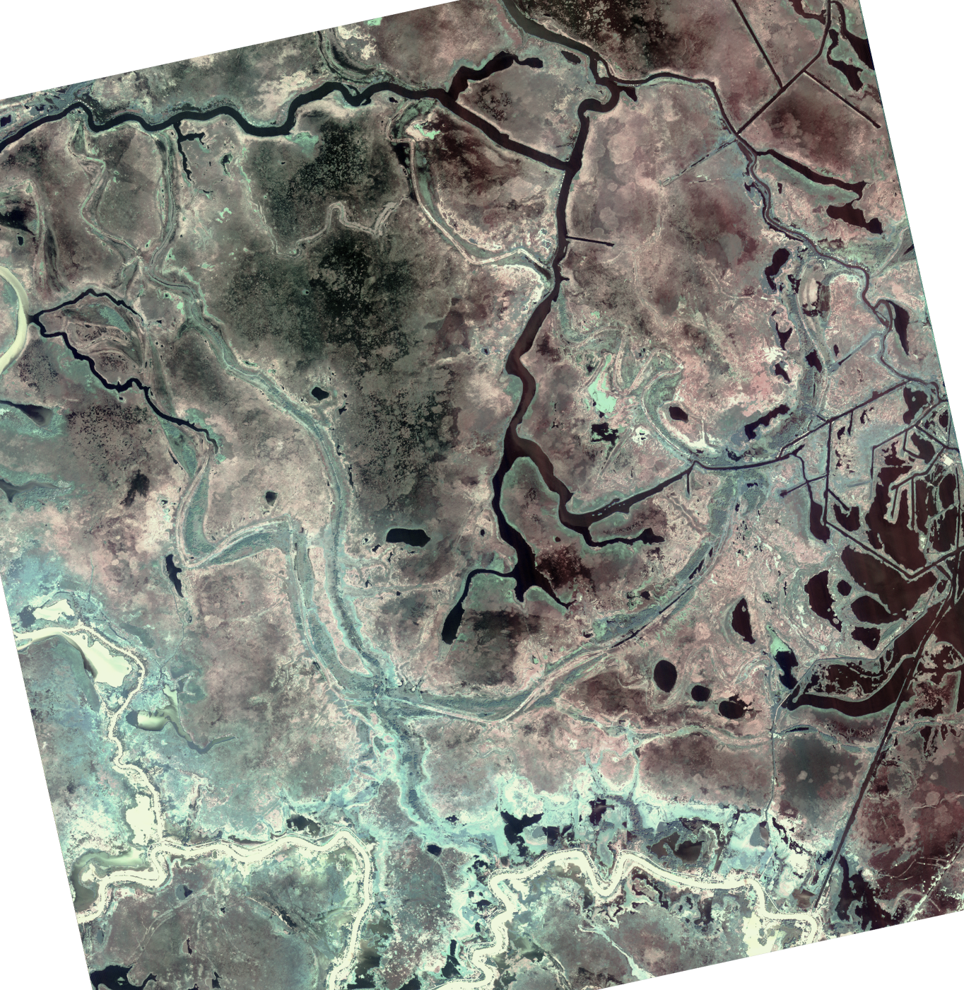 Image for search result element with title: Pantanos de Centla Biosphere Reserve, Mexico: As seen by KOMPSAT-2