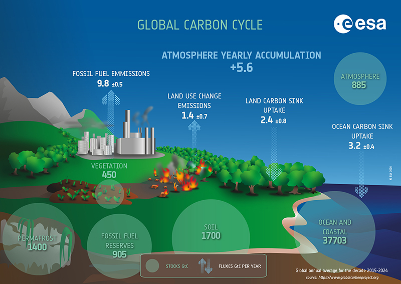 Forests and their role in the Carbon Cycle: ESA data and tools