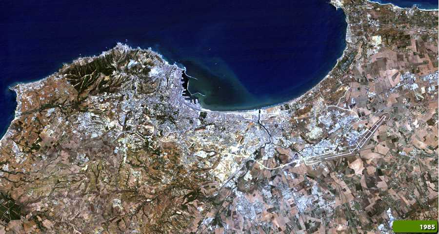 Algiers 1985