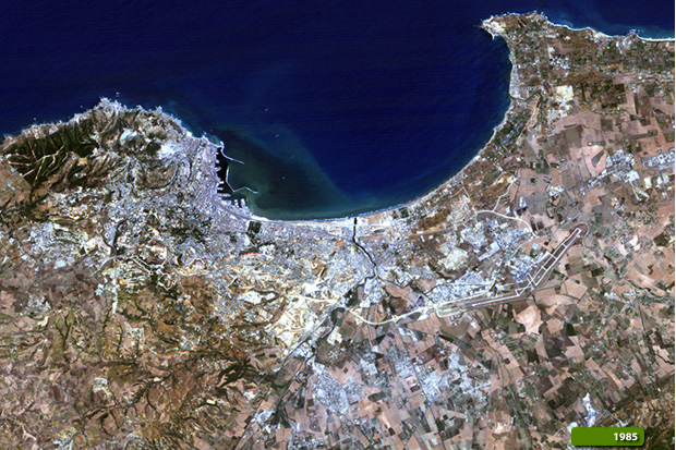 algiers 1985