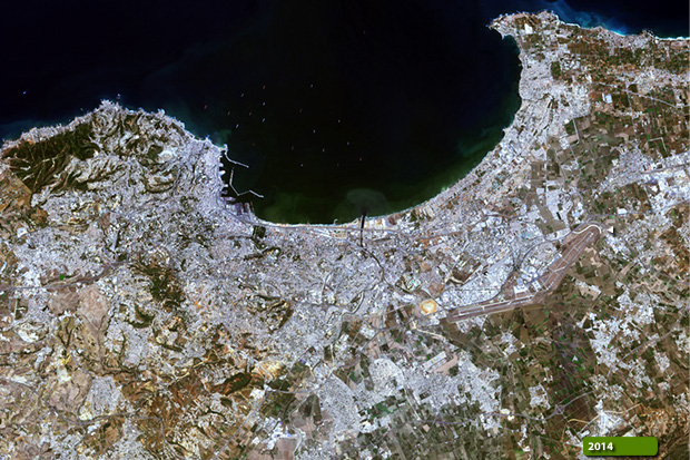 Algiers 2014