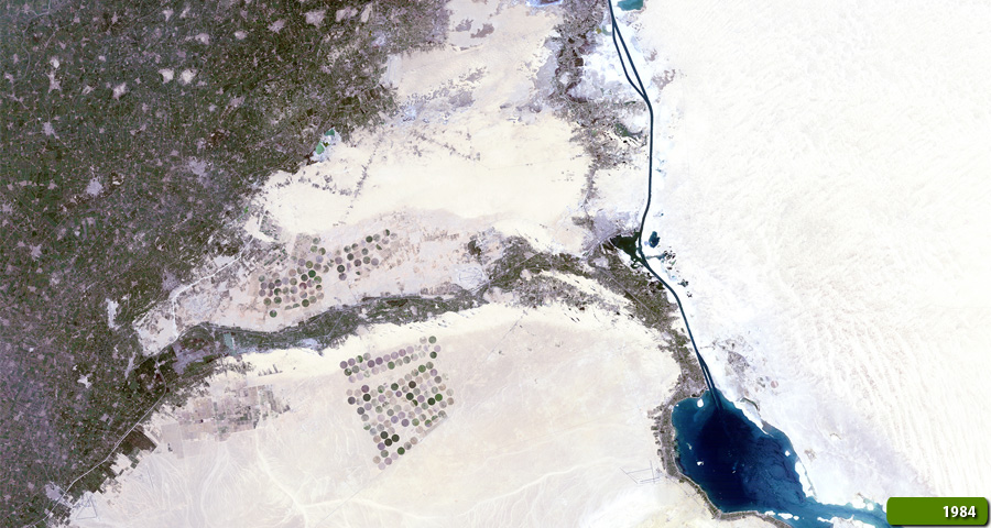 Suez Canal 1984
