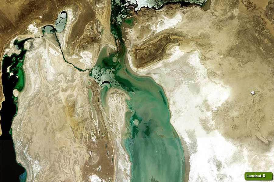 Aral Sea - 2018